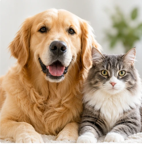 犬貓保健配方情境