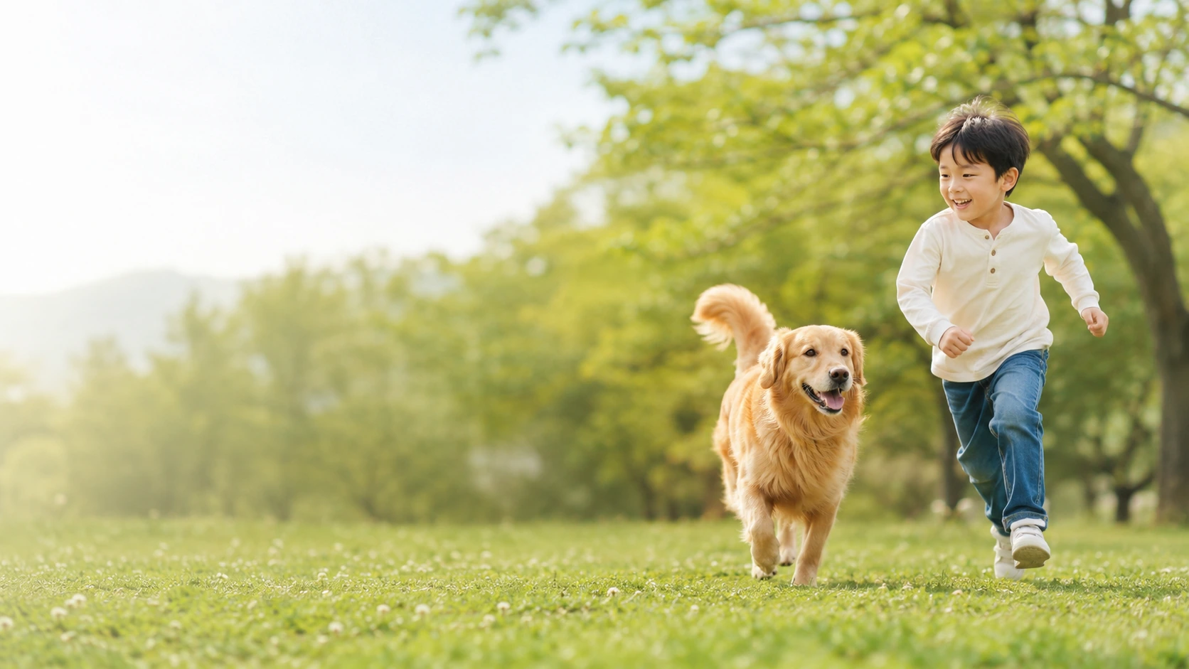 男孩與黃金獵犬在明亮戶外互動
